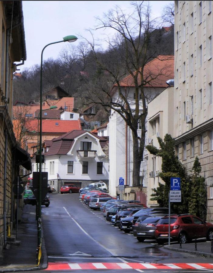 Magic House Brasov Lägenhet Exteriör bild